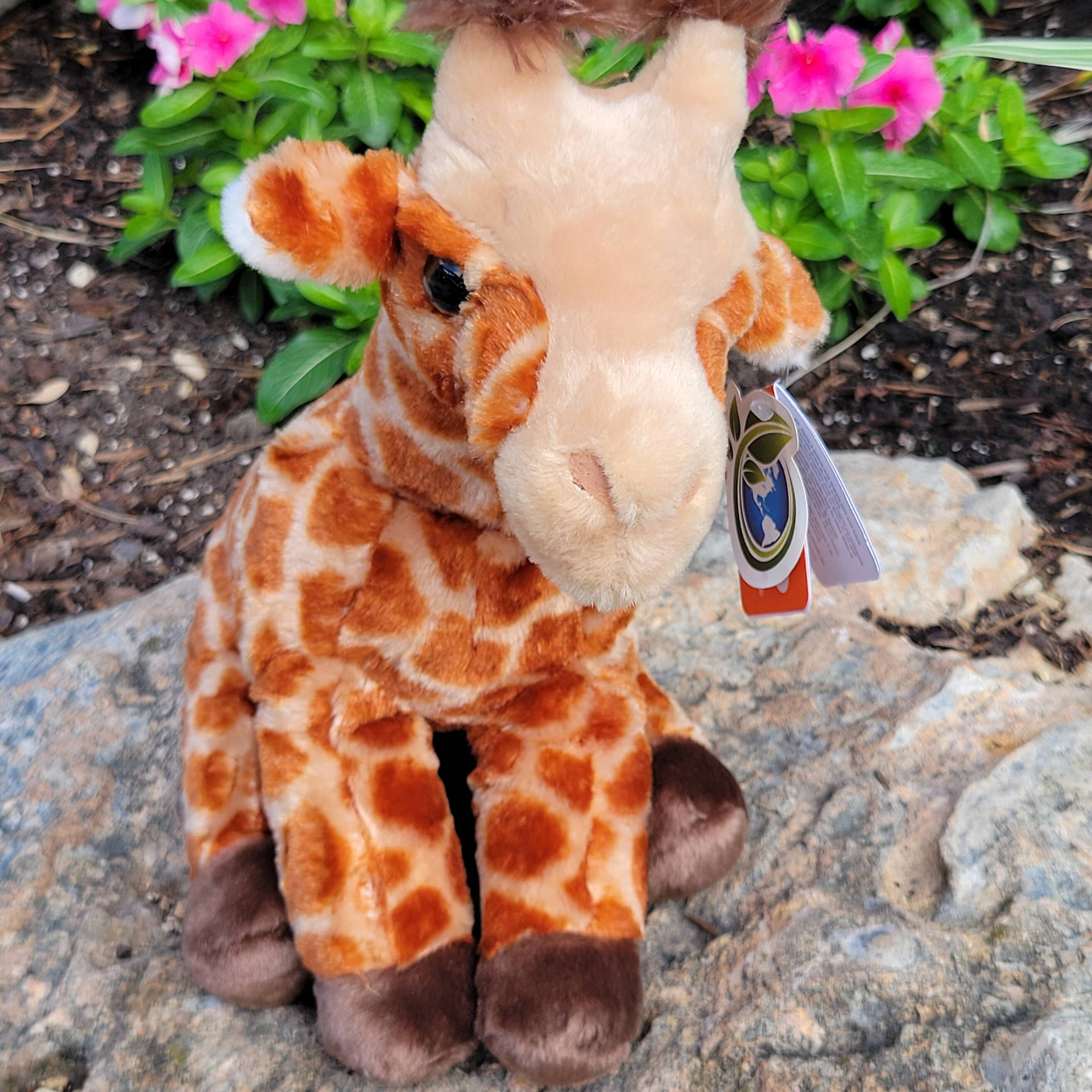 Shop San Antonio Zoo | San Antonio Zoo